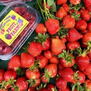 pyo-strawberries-canterbury
